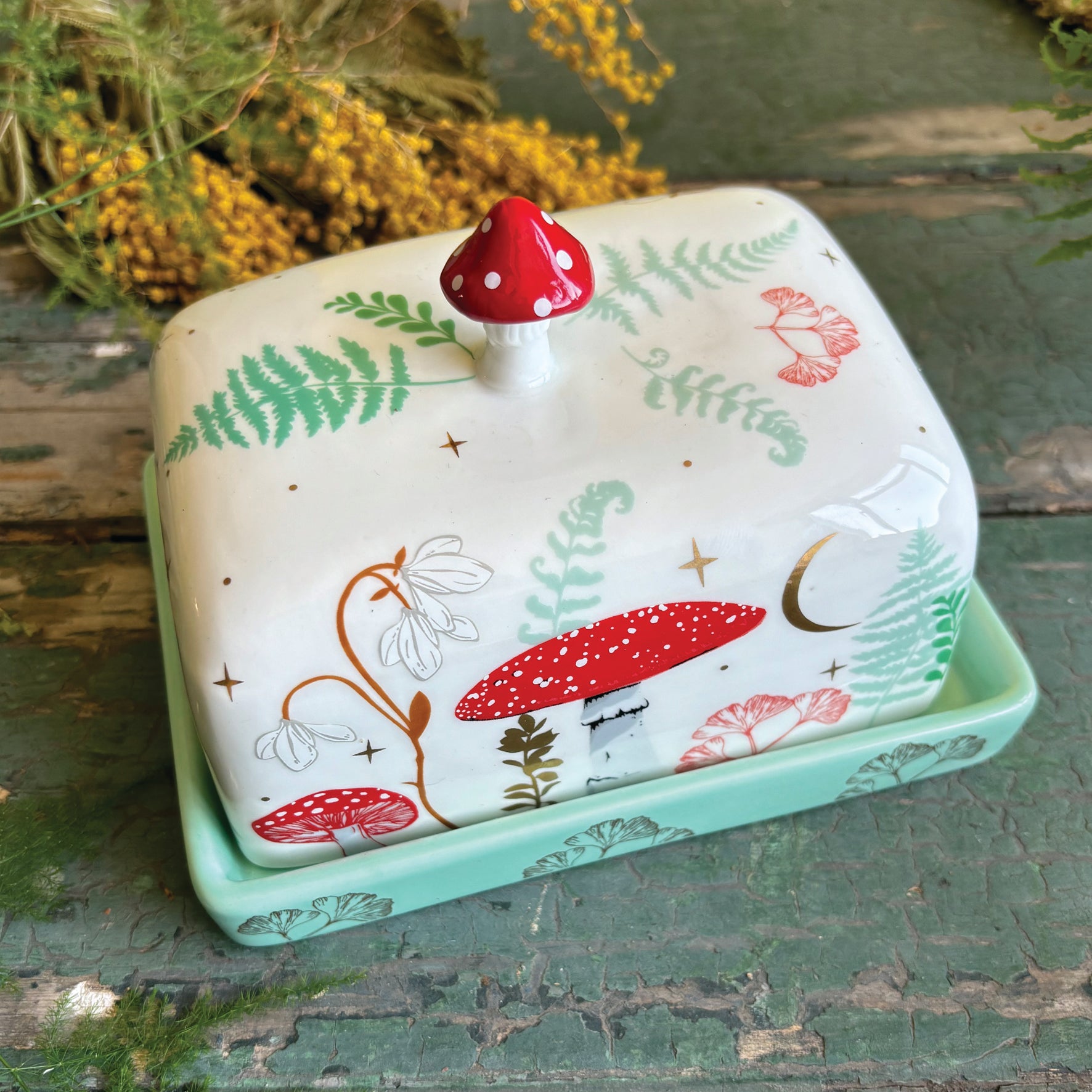 Pioneer woman butter dish hotsell