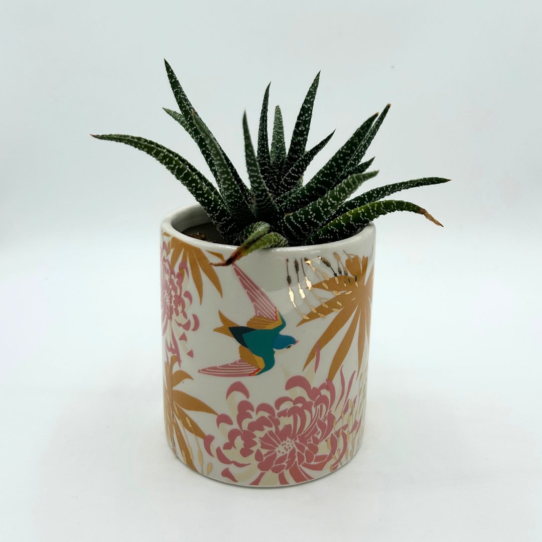 Luxe Swallow Planter - House of Disaster