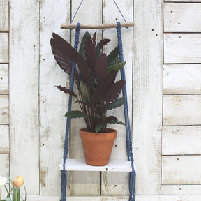 Macrame Dark Blue Shelf - House of Disaster