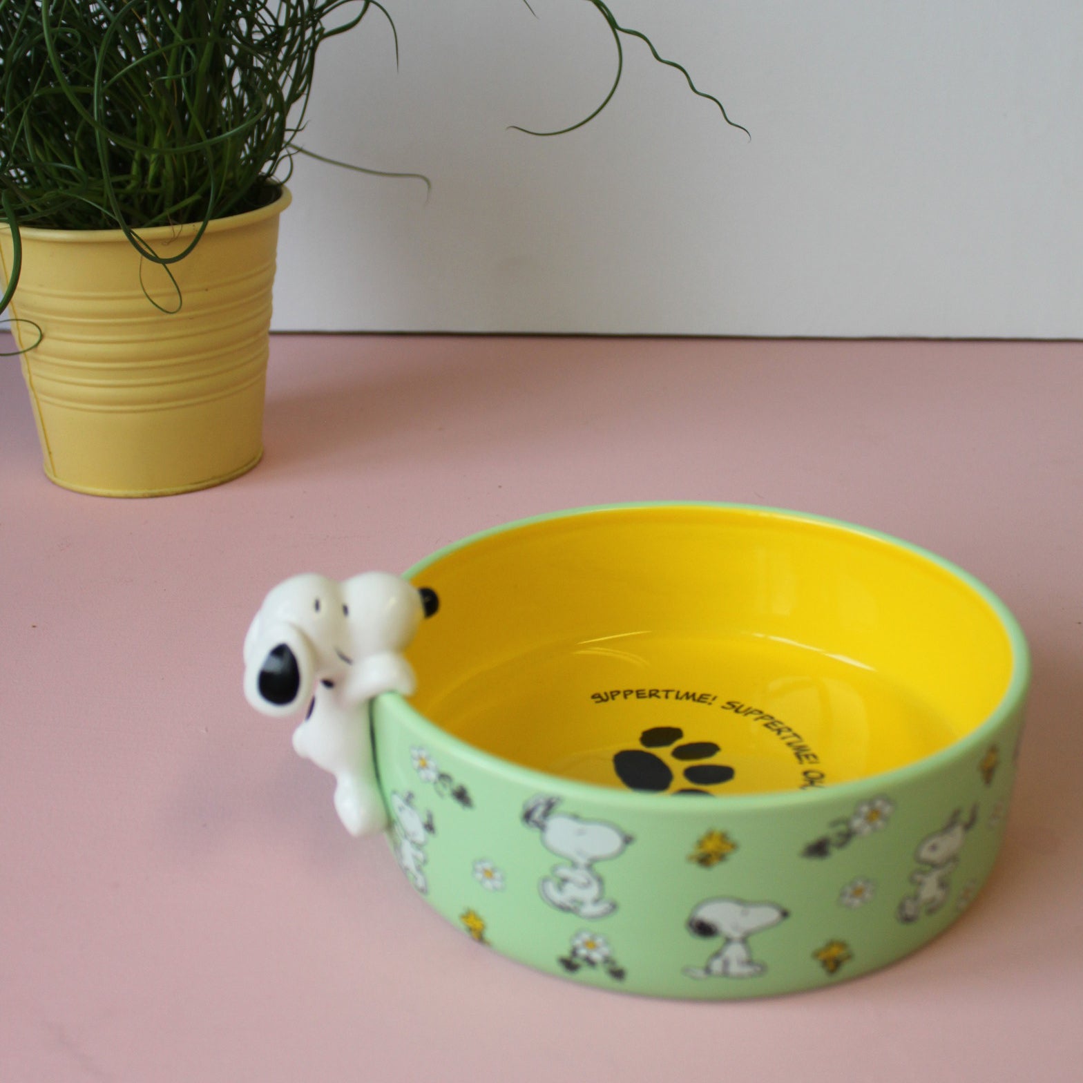 Peanuts Dog Bowl - House of Disaster